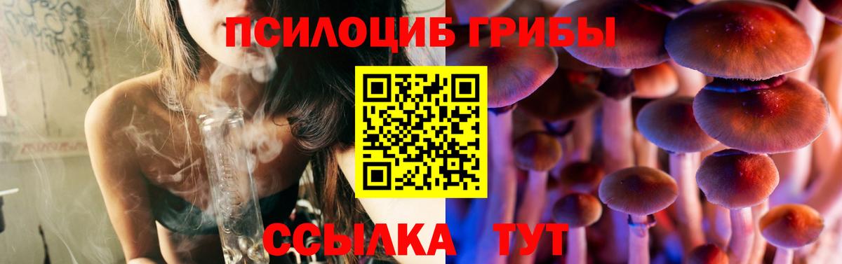 Псилоцибиновые грибы Psilocybine cubensis Комсомольск-на-Амуре